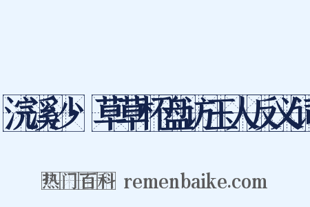 浣溪沙·草草杯盘访玉人反义词是什么意思的图片